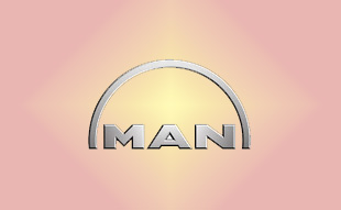 ✓ MAN 51.00900.6651 Запчасти МАН (MAN) 